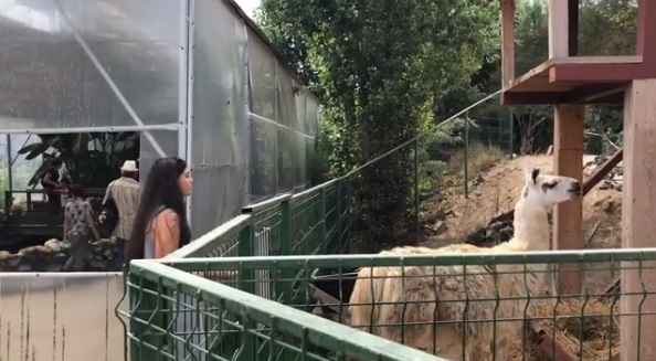 Horia Brenciu, scuipat în public! Copiii lui au fost martori la incident: “Mamă! Mamă!”