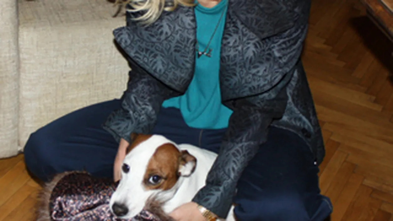 Cainele Danei Rogoz i-a mancat ultima investitie! Afla de ce nu s-a suparat vedeta!