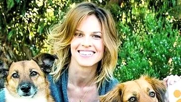 Starul din Million Dollar Baby a vizitat adapostul Speranta. Hilary Swank sare in ajutorul maidanezilor din Bucuresti