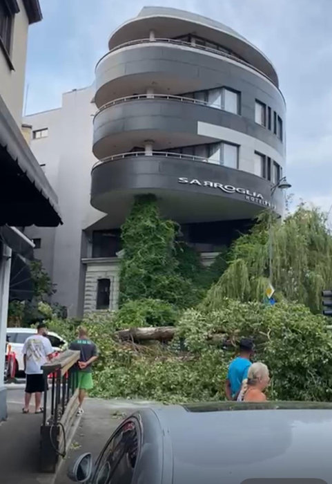 Furtuna a făcut prăpăd în București! Un copac a fost doborât în Sectorul 1 al Capitalei