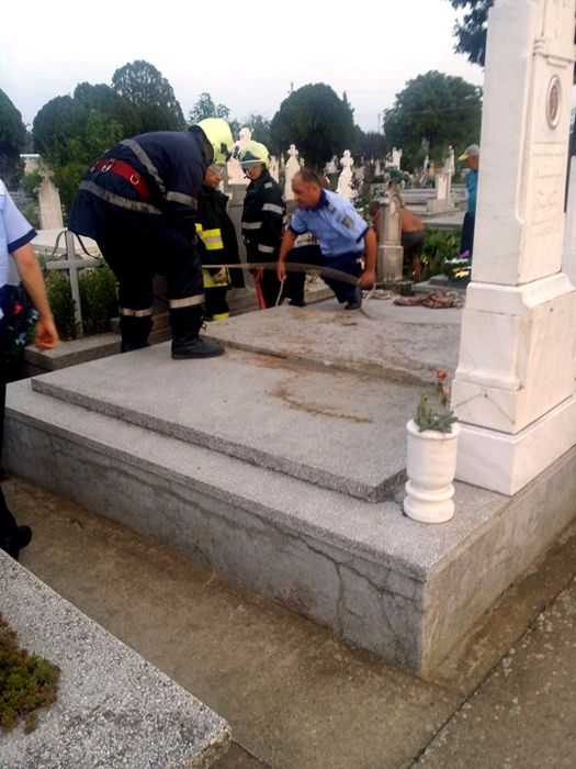 Câine îngropat de viu într-un mormânt dintr-un cimitir din Timiș. Groparii ar fi pus cu bună știință peste el placa de beton a unui cavou. Explicația e halucinantă