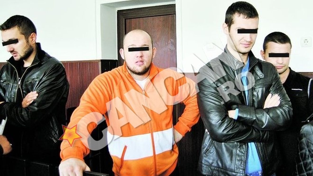 Interlopii din Resita isi intimideaza dusmanii cu metode siciliene - I-au decapitat cainele si i l-au pus pe capota masinii!