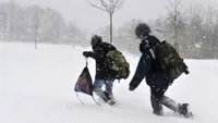 Se închid şcolile în mai multe judeţe, din cauza ninsorilor! Anunţul făcut de autorităţi