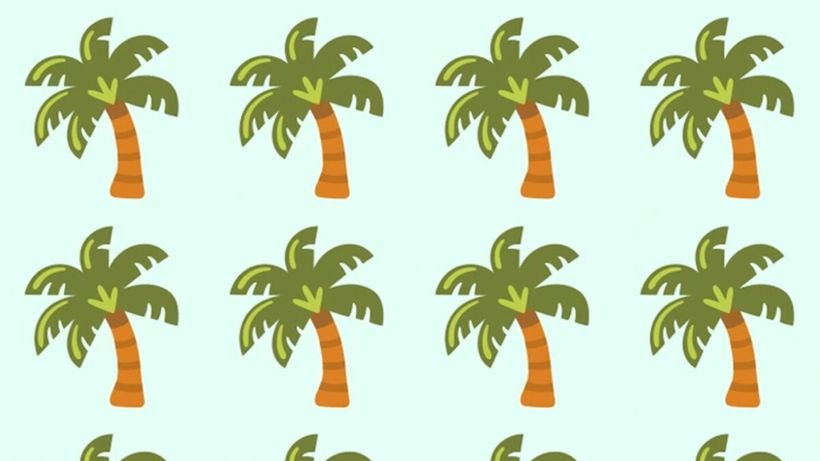 Test de logică | În această imagine apar 20 de palmieri, însă unul singur este diferit de ceilalți. Care?