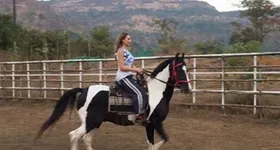 Galerie foto - poza 3