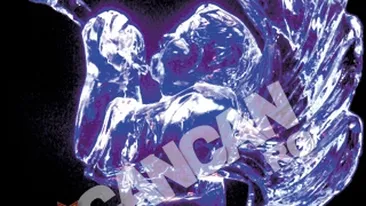 Iulian Tanase a pus bazele unei afaceri pentru petrecerile celebritatilor! Cadouri inghetate pentru VIP-uri