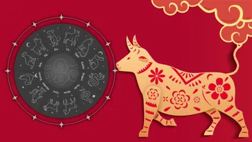 Horoscop chinezesc azi, 14 iulie 2026. Zodia Bivol trebuie să evadeze din rutina zilnică pentru a atrage schimbări în viața sa