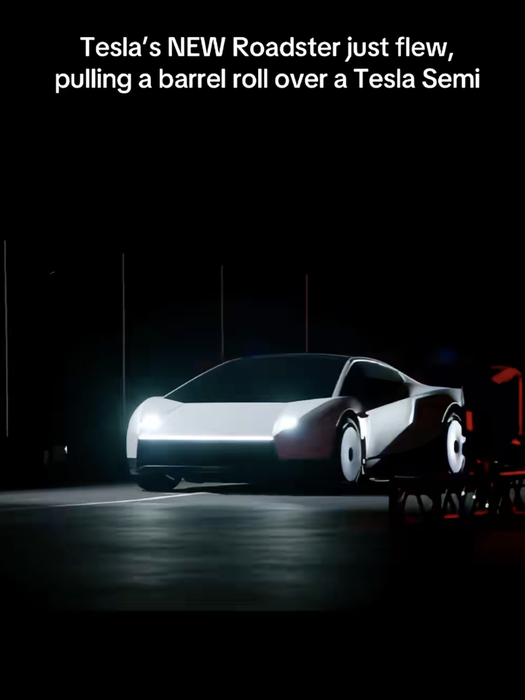 Tesla/foto: TikTok