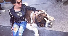 Galerie foto - poza 3