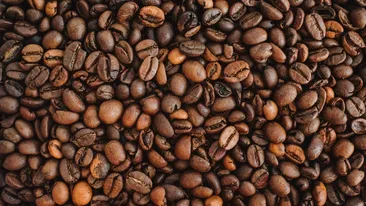 7 tipuri de cafea boabe pe care trebuie să le încercați