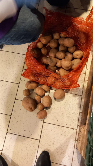 Amendă record pentru Kaufland de la ANPC. Nereguli grave în cele 65 de magazine și sancțiuni pe măsură | GALERIE FOTO