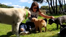 Doliu în televiziune! Celebra prezentatoare TV a murit din cauza unei boli nemiloase