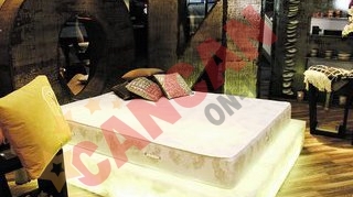 Un pui de somn pe... 70.000 de euro