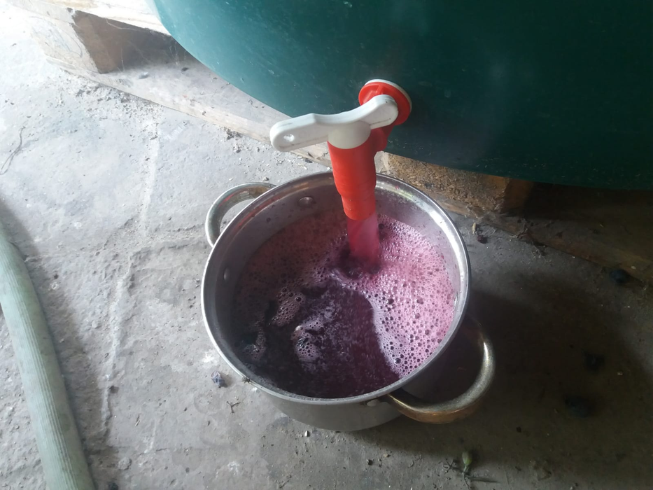 La Băilești s-a făcut deja zaibărul