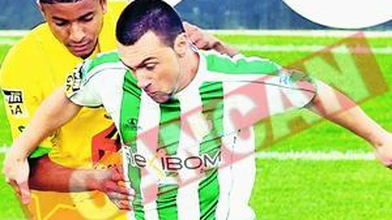 Pitbull: Rapid? Vreau sa joc acolo!