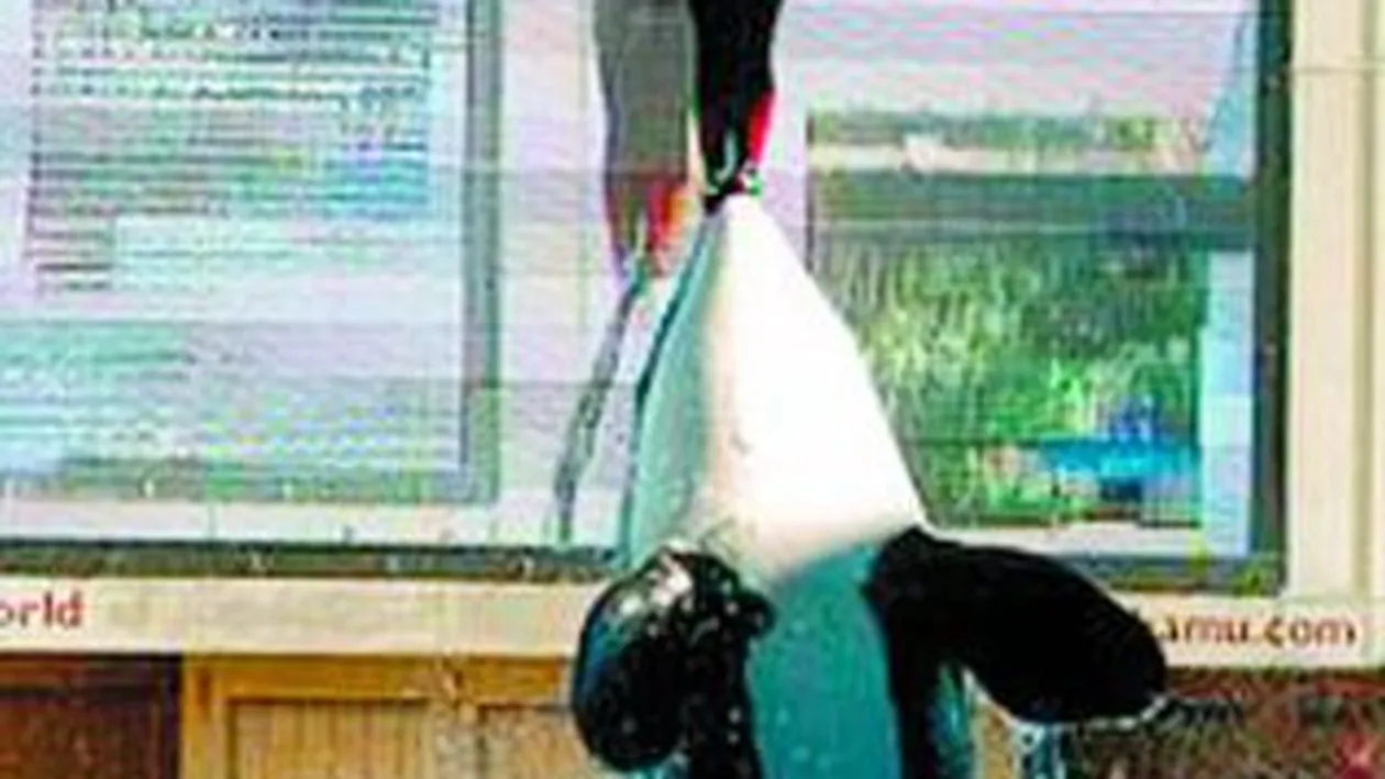 Ucisa de balena in timpul show-ului