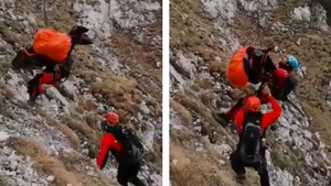 A apărut o nouă pistă în ancheta medicului mort în Piatra Craiului. Nu este exclusă varianta unei crime