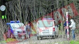Jaful de la Ciorogarla a fost dirijat chiar de comandantul unitatii