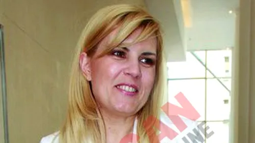 Elena Udrea, tot mai aproape de sefia PD-L