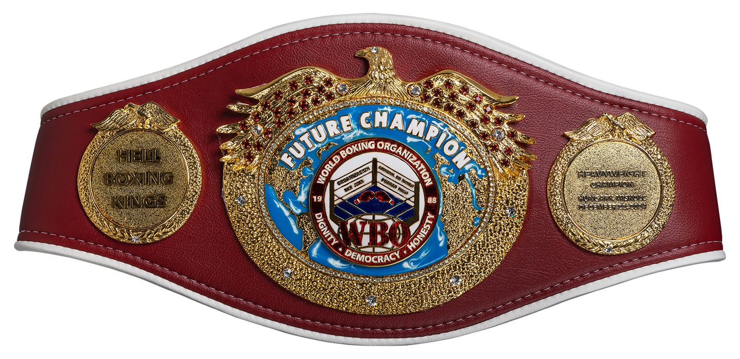 (P) Mega-proiectul de box a fost recunoscut de World Boxing Organization! Pe lângă o recompensă financiară considerabilă, câștigătorul HELL Boxing Kings va primi și un titlu