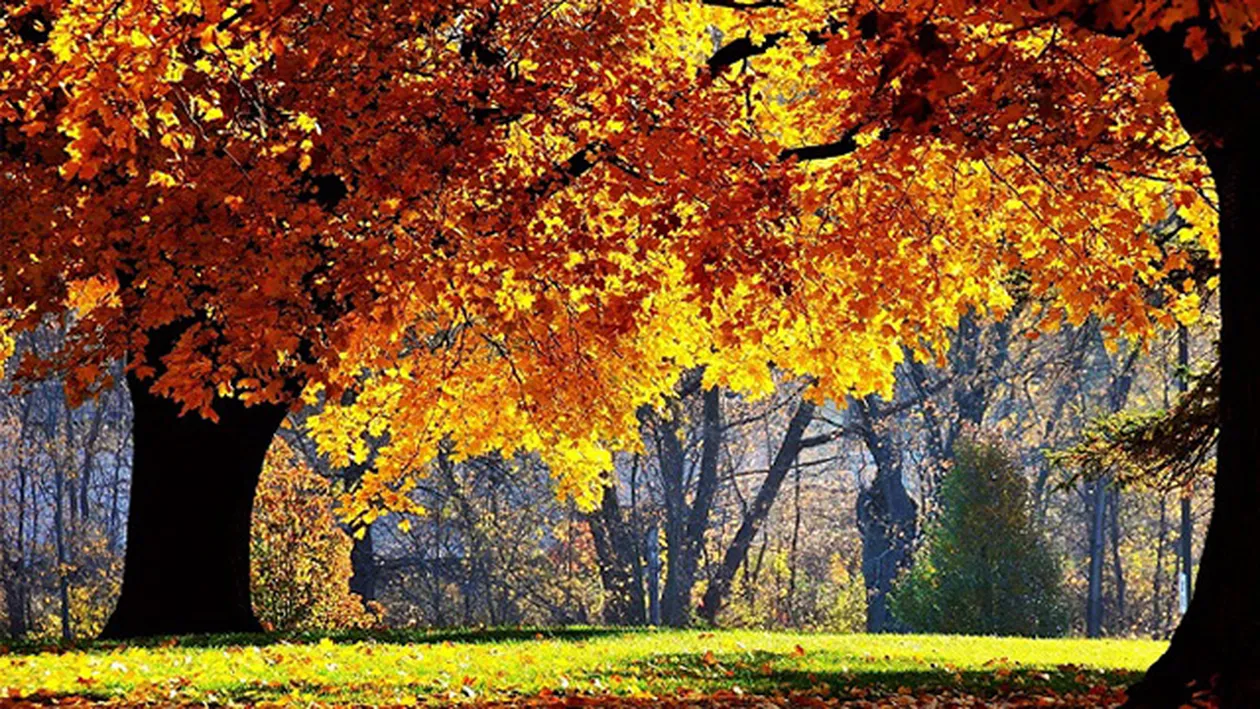 METEO 1 SEPTEMBRIE! Romania se TOPESTE! Cod PORTOCALIU de canicula!