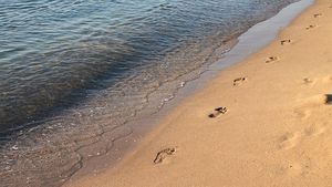 Serialul ”țeapă la cazare” continuă în stațiunea Mamaia. Dezvăluirile făcute de turiștii români aflați în vacanță pe litoral: ”Am plătit 200 ron pe 2 șezlonguri și seara am vrut să plec cu ele acasă”
