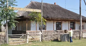 Galerie foto - poza 1