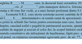 Galerie foto - poza 3