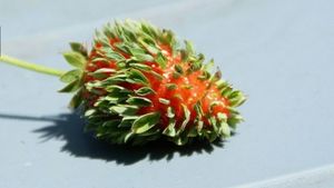Cele mai CIUDATE flori şi fruncte cresc în Japonia. Ce s-a întâmplat cu natura după explozia de la Fukushima