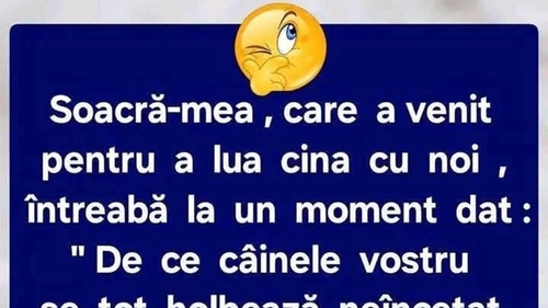 Bancul sfârșitului de săptămână | Soacra și câinele