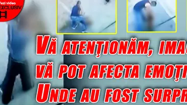 Vă atenţionăm, imaginile vă pot afecta emoţional! Unde au fost surprinse? VIDEO