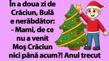 BANC | În a doua zi de Crăciun, Bulă e nerăbdător: Mami, de ce nu a venit Moş Crăciun nici până acum?!