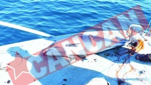 Trei tone de peste confiscat