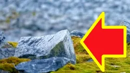 Ce s-a întâmplat după ce au spart o rocă veche de...