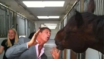 David Hasselhoff a ajuns rau