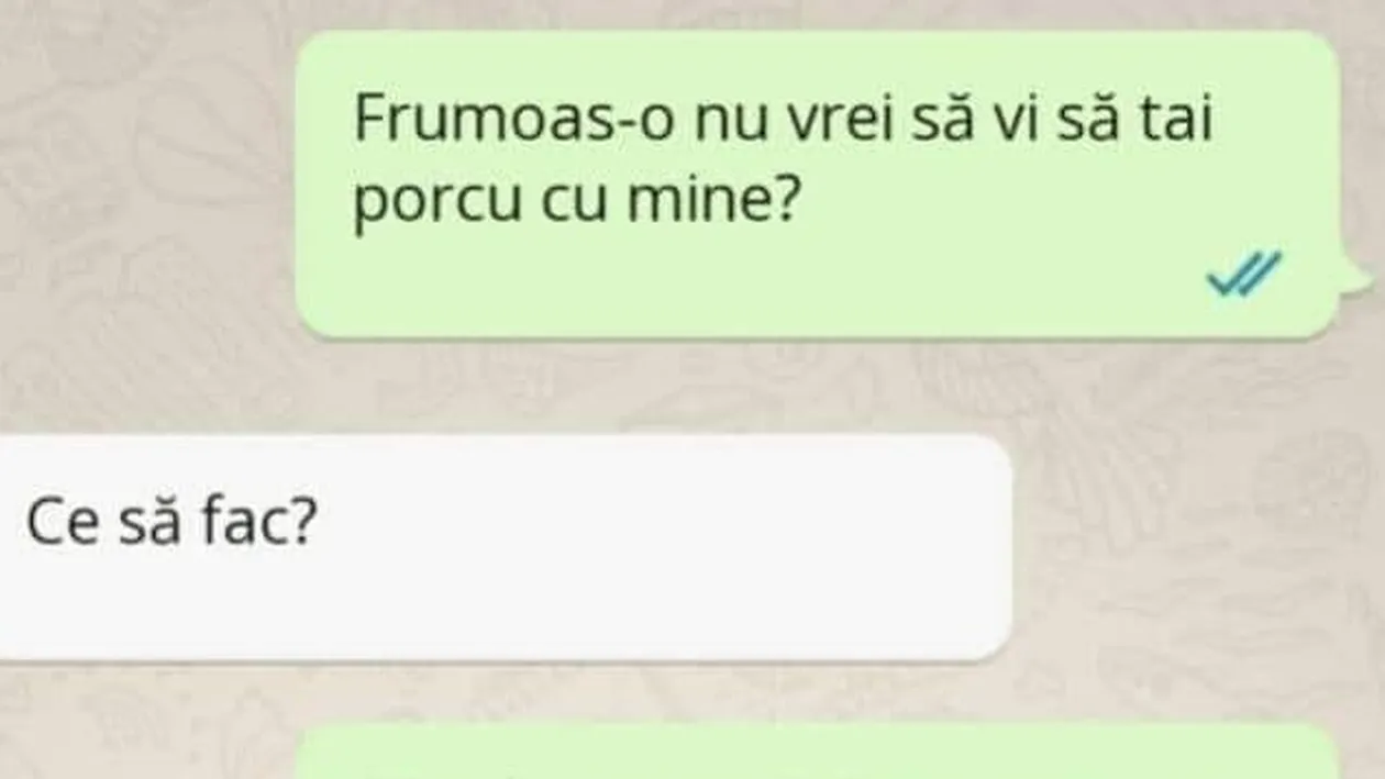 Bancul zilei! Frumoas-o nu vrei să vi să tai porcu cu mine?