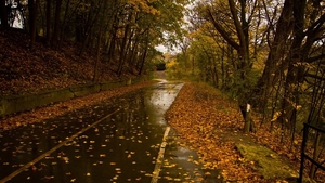 Vremea rea lovește România! Plouă în toată țara, iar temperaturile scad în următoarele zile