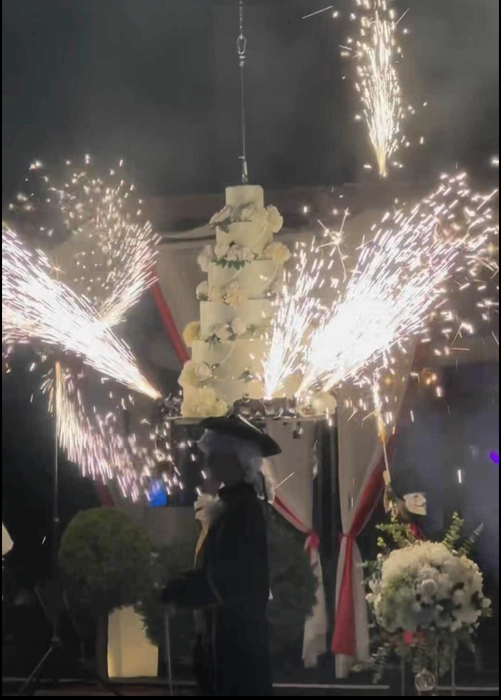 Cristina Vasiu s-a căsătorit/foto: Instagram