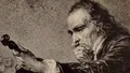 Ce s-a aflat despre lemnul viorilor lui Stradivari?