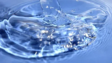 Animalul care NU bea apă de la naștere până la moartea sa. Cum reușește să supraviețuiască