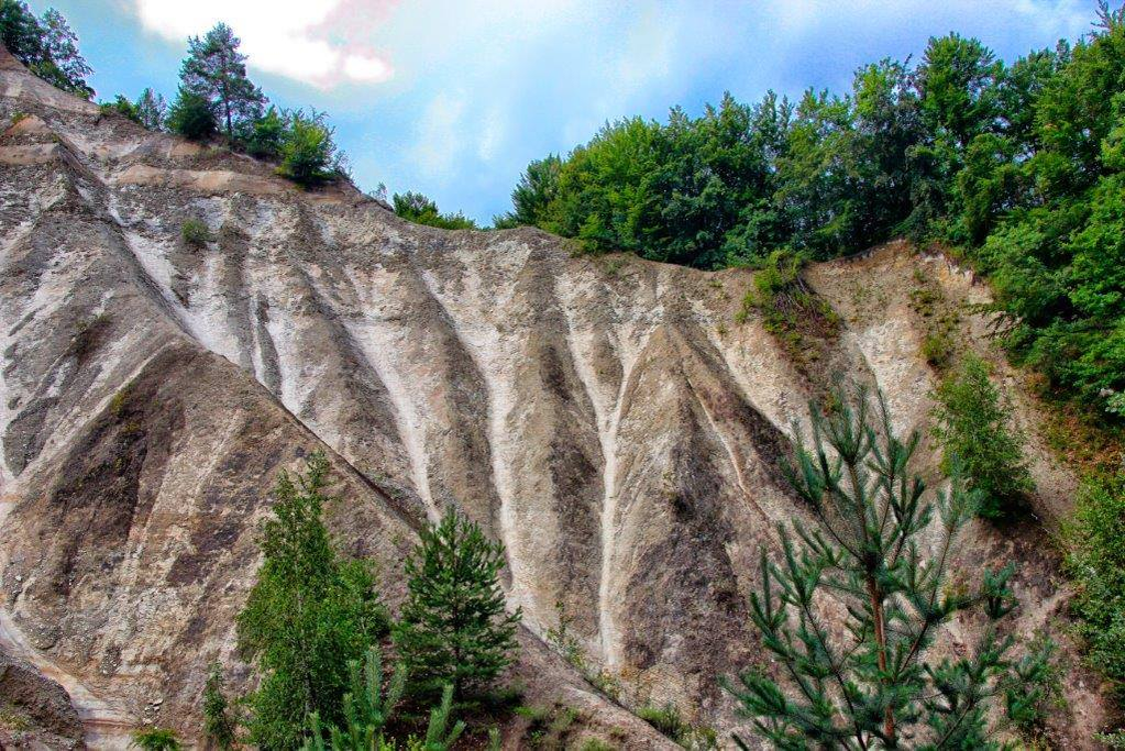 Drumul spre plantele carnivore traversează un peisaj ireal