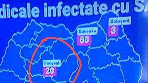 Este gafa anului! Detaliul jenant observat de un telespectator la Pro TV. Unde au pus orașul Focșani pe harta României