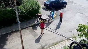 Scene şocante în Târgovişte: Bichon "măcelărit" de pitbull în Parcul Aşchiuţă, sub ochii copiilor
