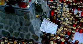 Galerie foto - poza 2