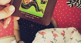 Galerie foto - poza 2