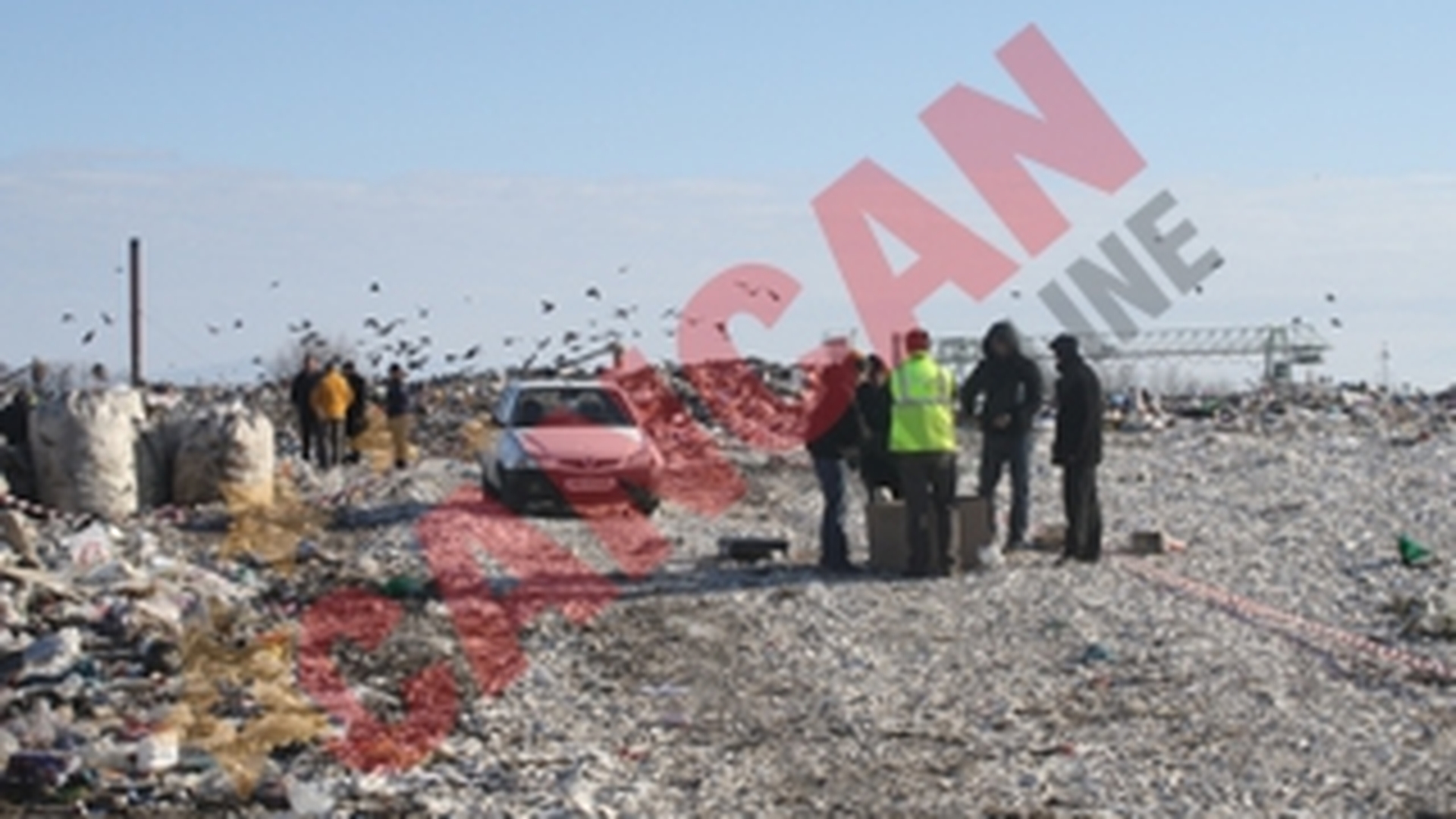 VIDEO Cadavrul din Lugoj ar fi fost tinut in frigider!