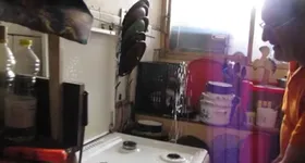 Galerie foto - poza 1