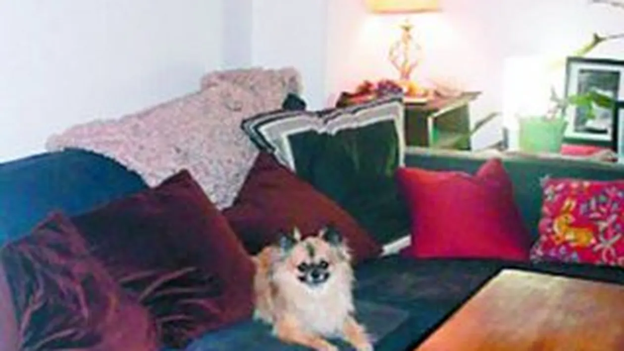 Cu 1.900$, dormi in patul lui Obama