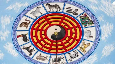Horoscop chinezesc azi, 28 iulie 2026. Universul trimite semnale puternice pentru zodiile chinezești. Cine câștigă și cine trebuie să evite greșelile legate de  bani