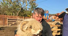 Galerie foto - poza 3